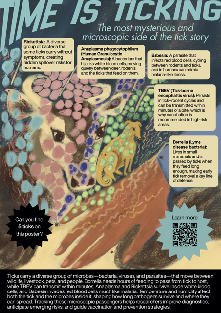 Screenshot 2025-12-17 at 14.18.44 Medium