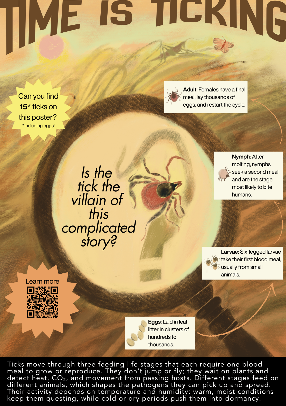 Screenshot 2025-12-17 at 14.33.54